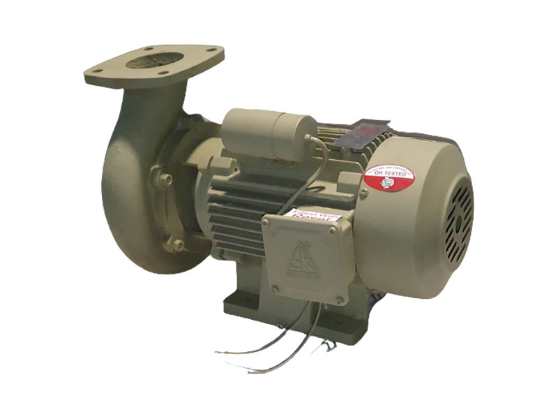 Industrial Electric Motor