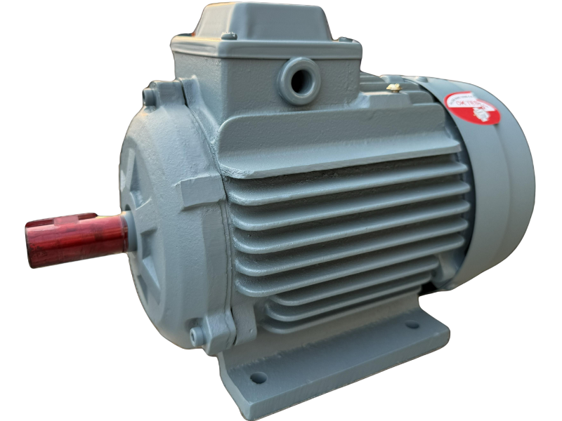 Industrial Electric Motor