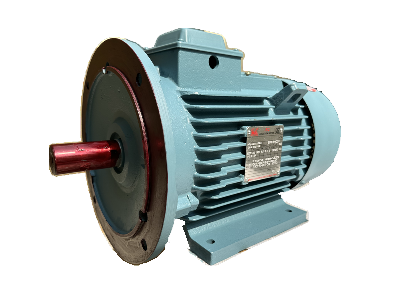 Industrial Electric Motor